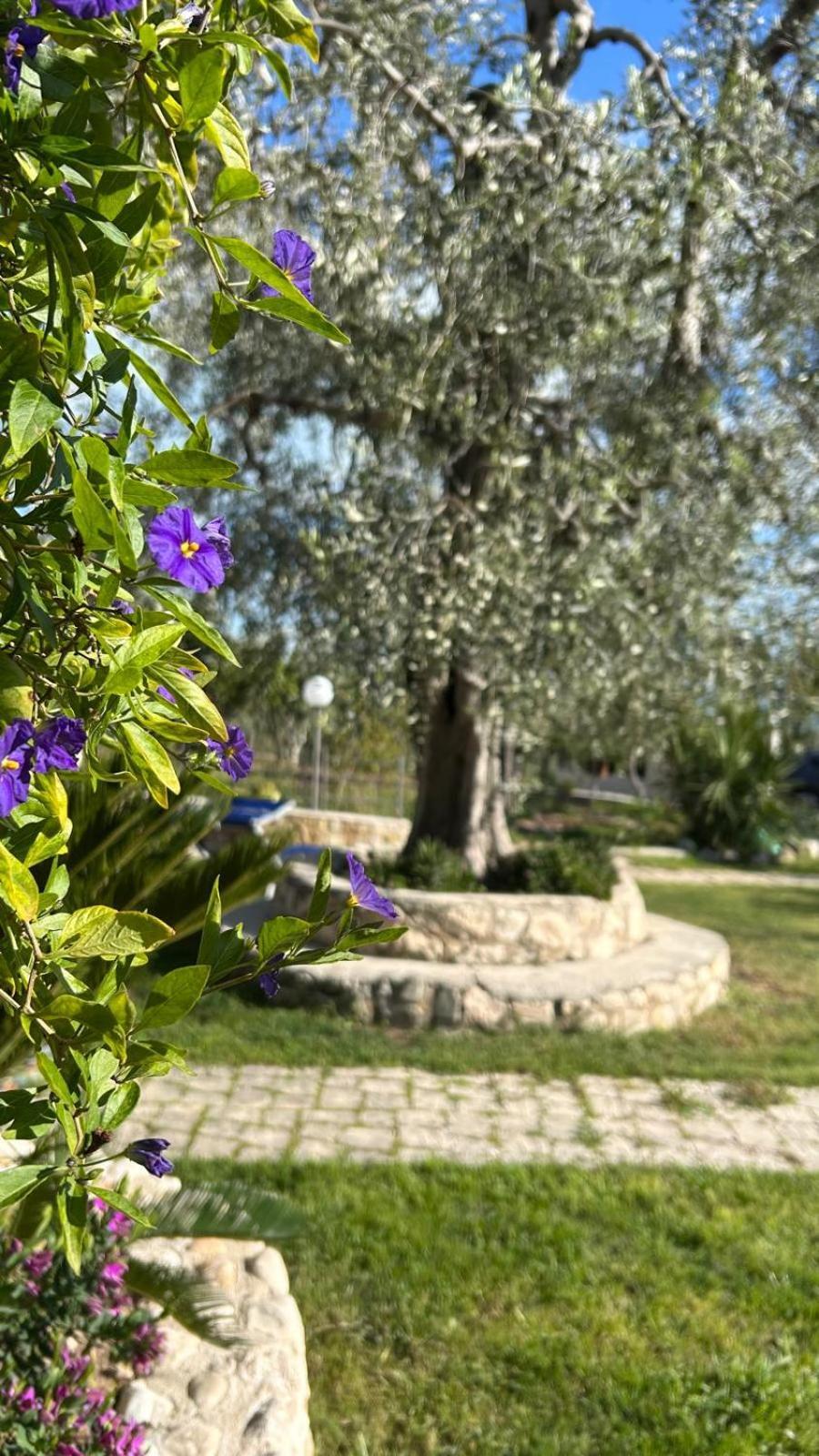 B&B Tor Di Lupo Маттината Экстерьер фото