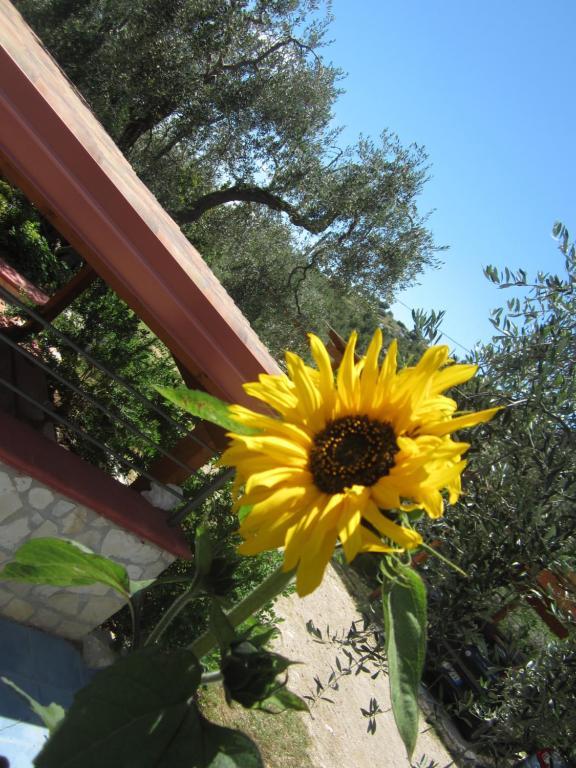 B&B Tor Di Lupo Маттината Экстерьер фото